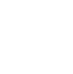 Icona Instagram