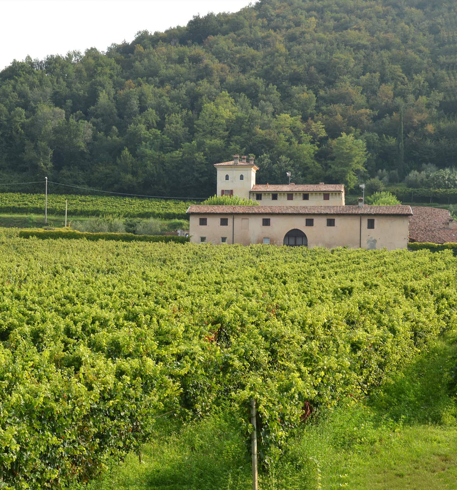 Franciacorta